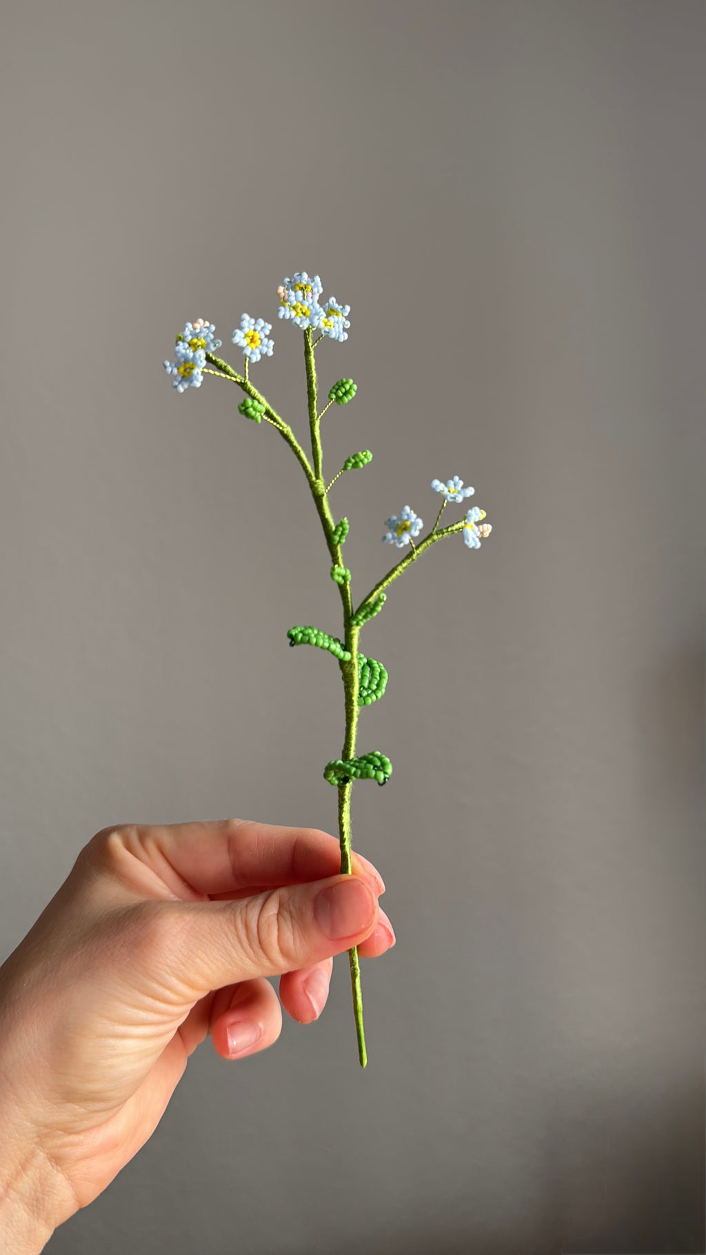 Forgetmenot