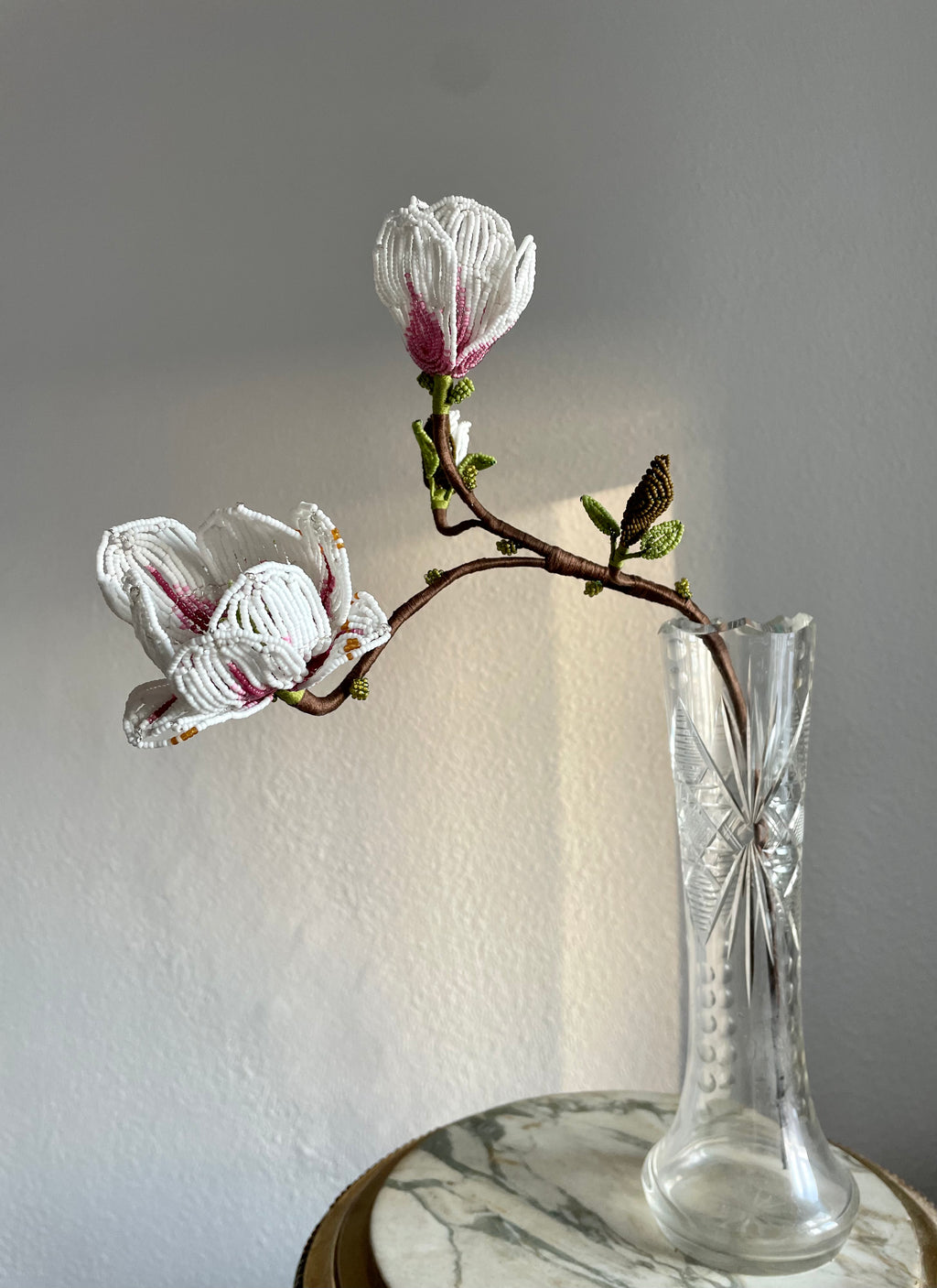 Magnolia branch