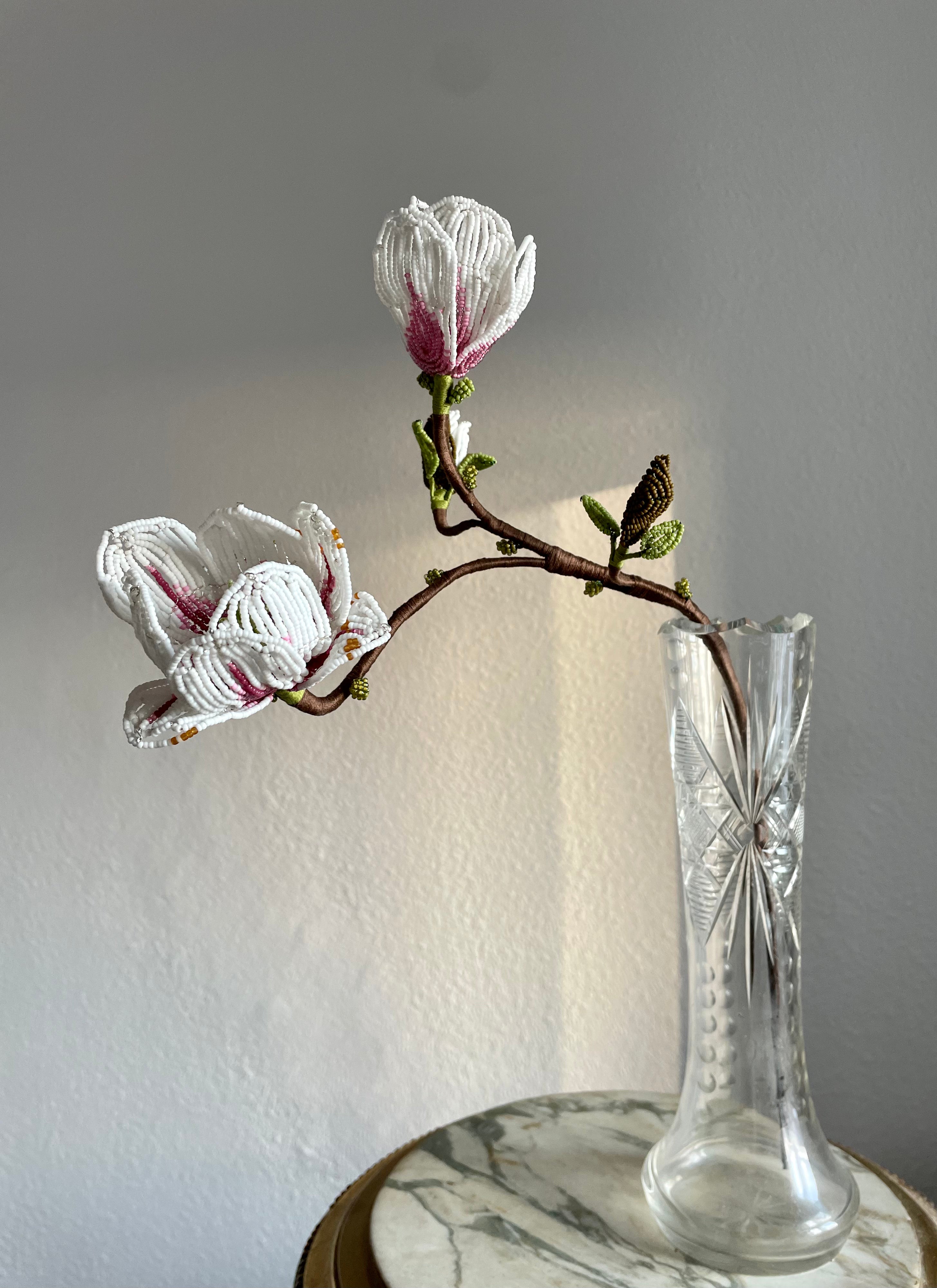 Magnolia branch