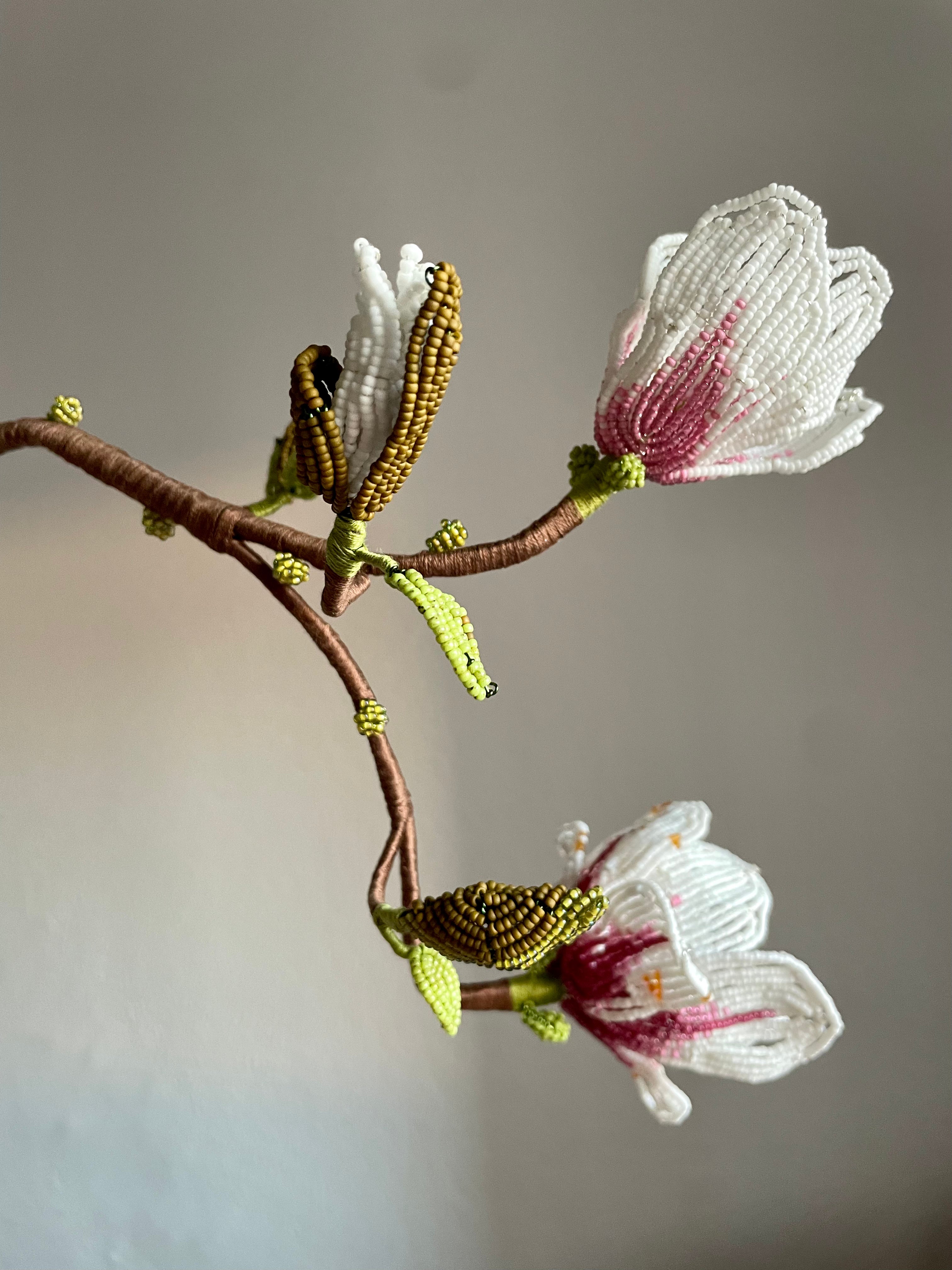 Magnolia branch