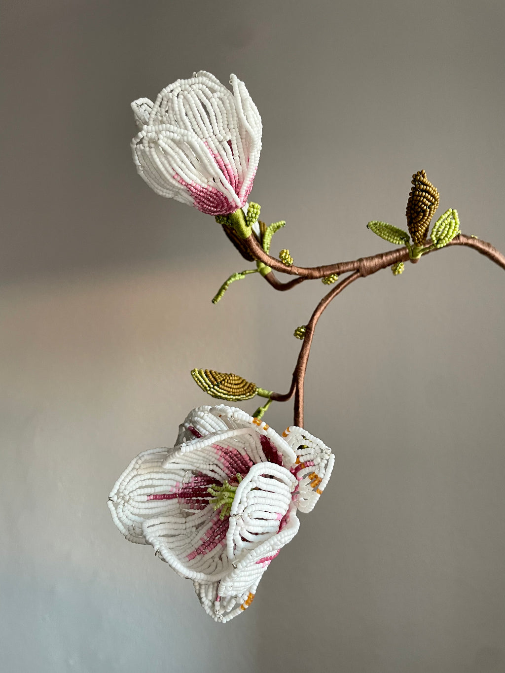 Magnolia branch
