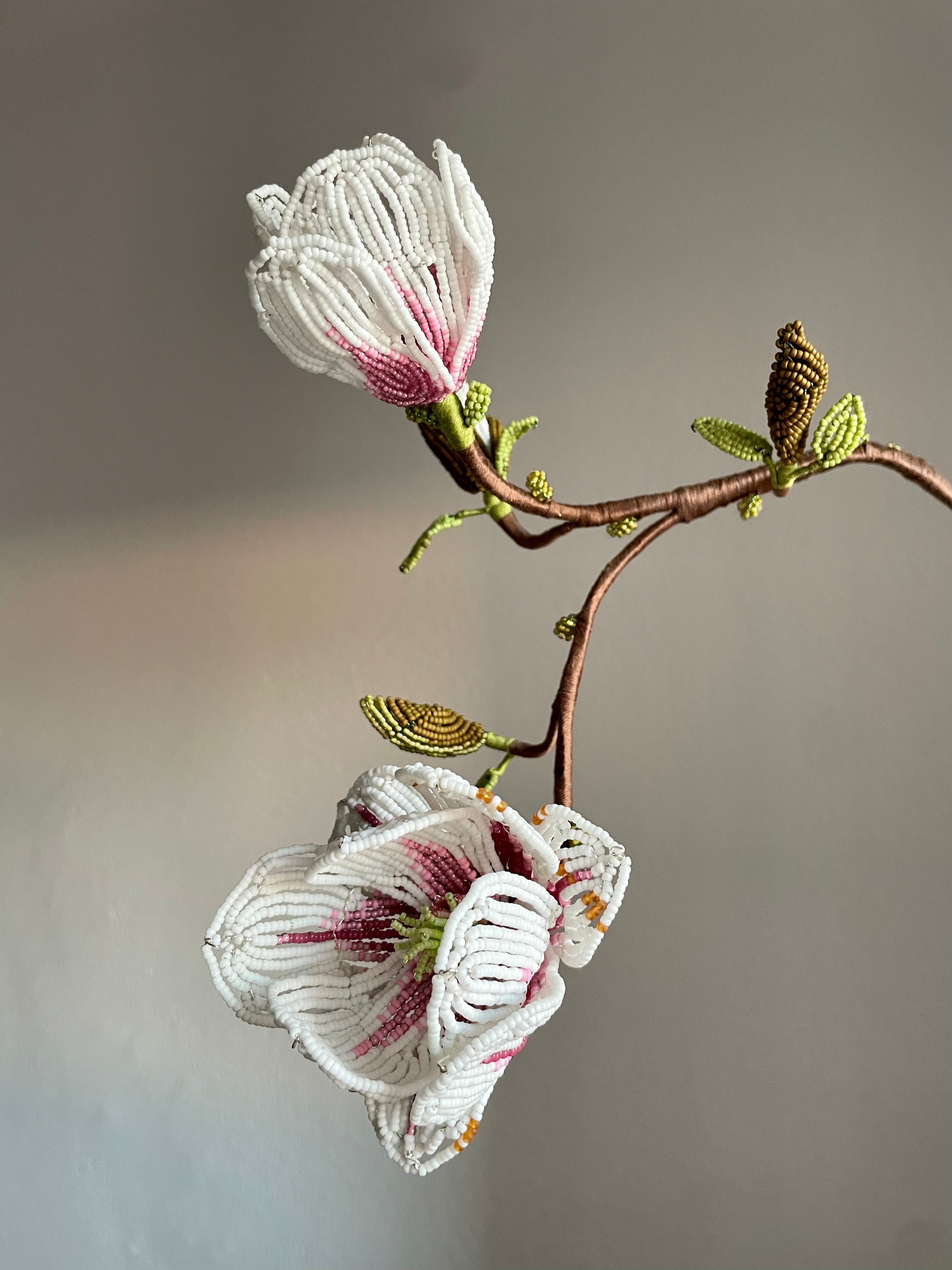 Magnolia branch