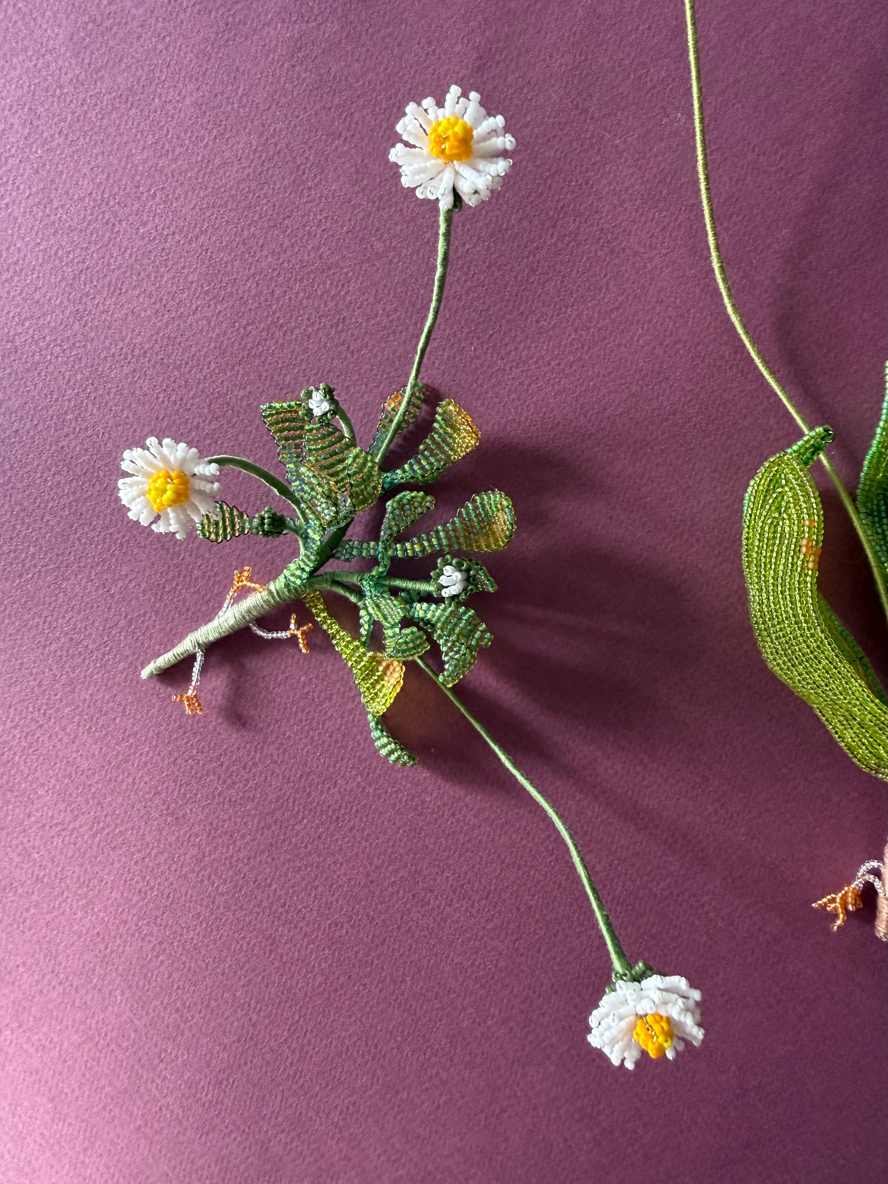 Uprooted daisy