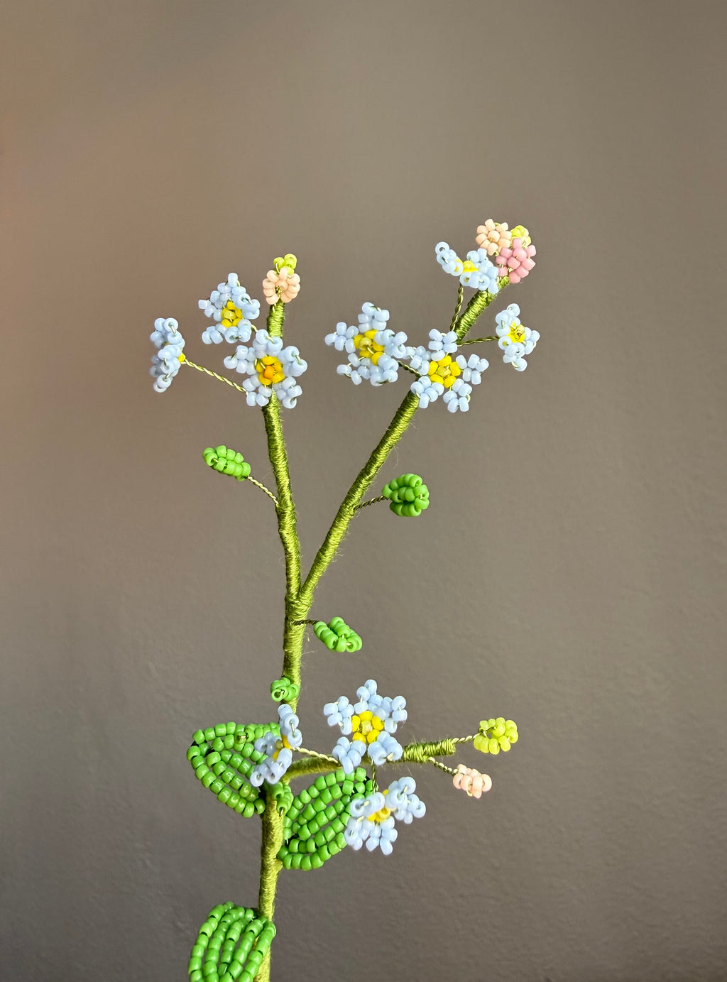 Forgetmenot