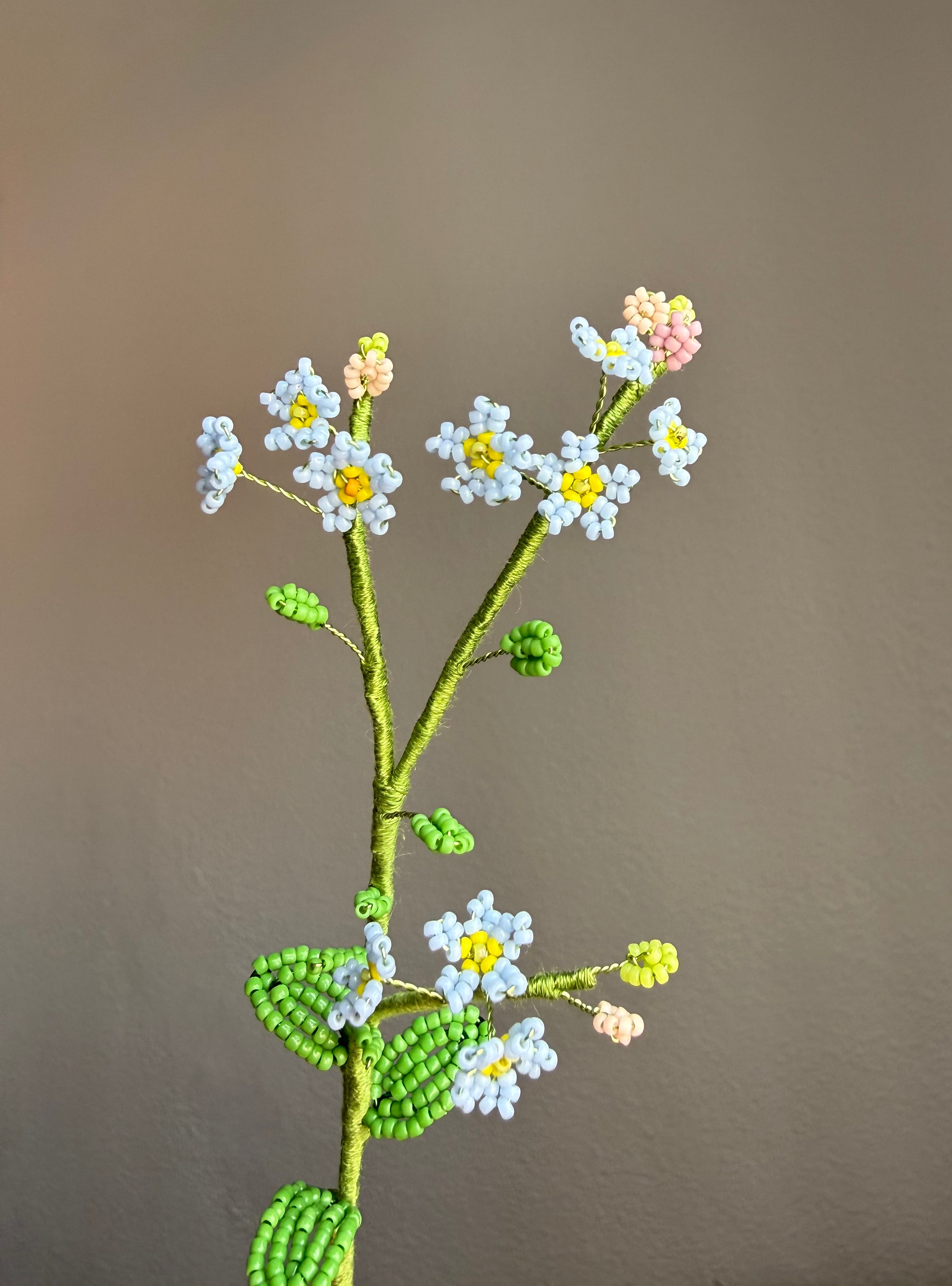 Forgetmenot