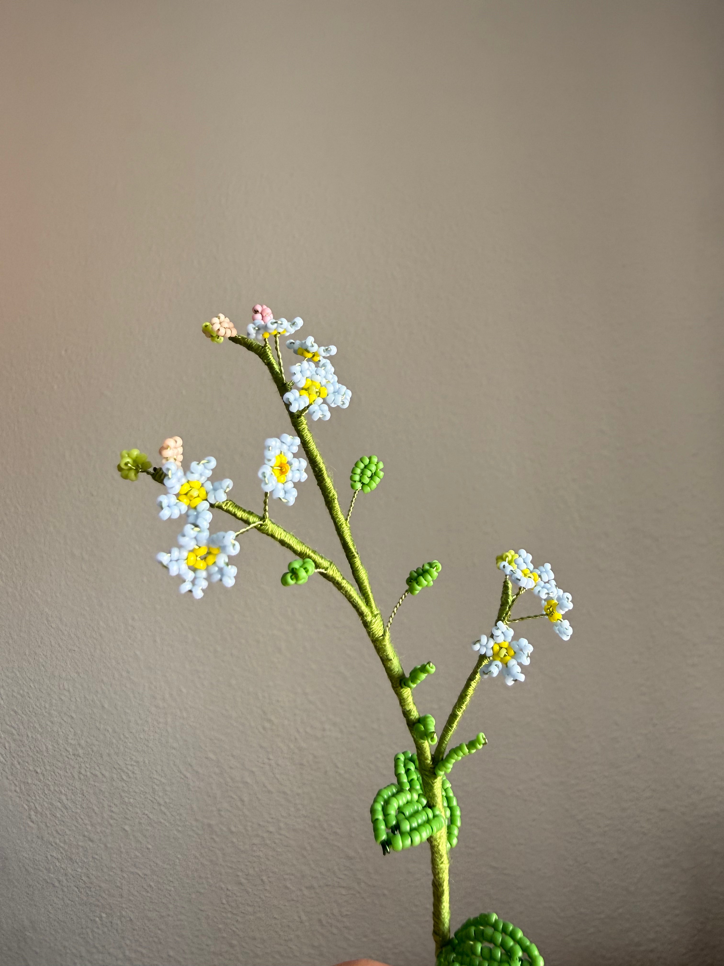 Forgetmenot