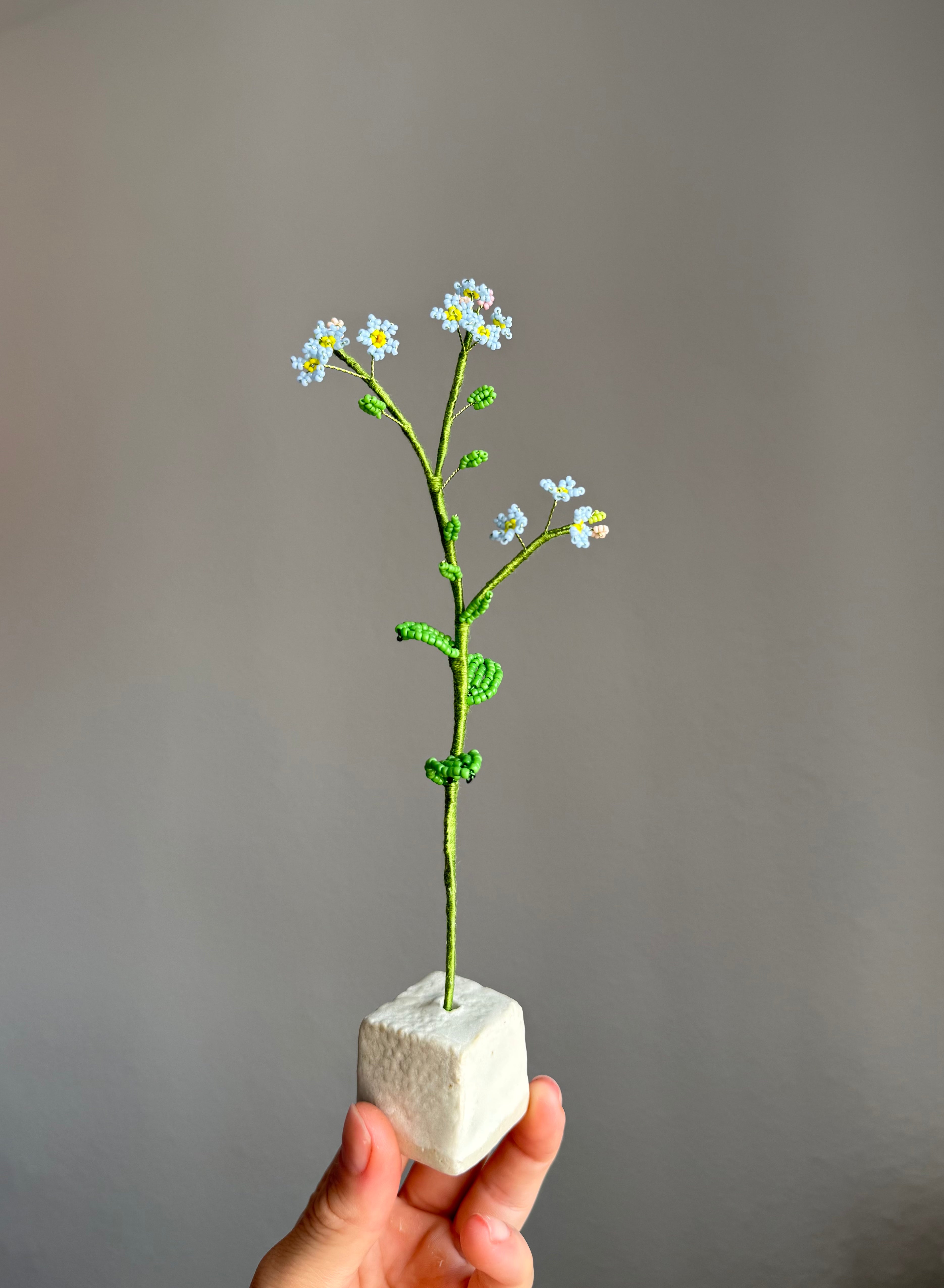 Forgetmenot