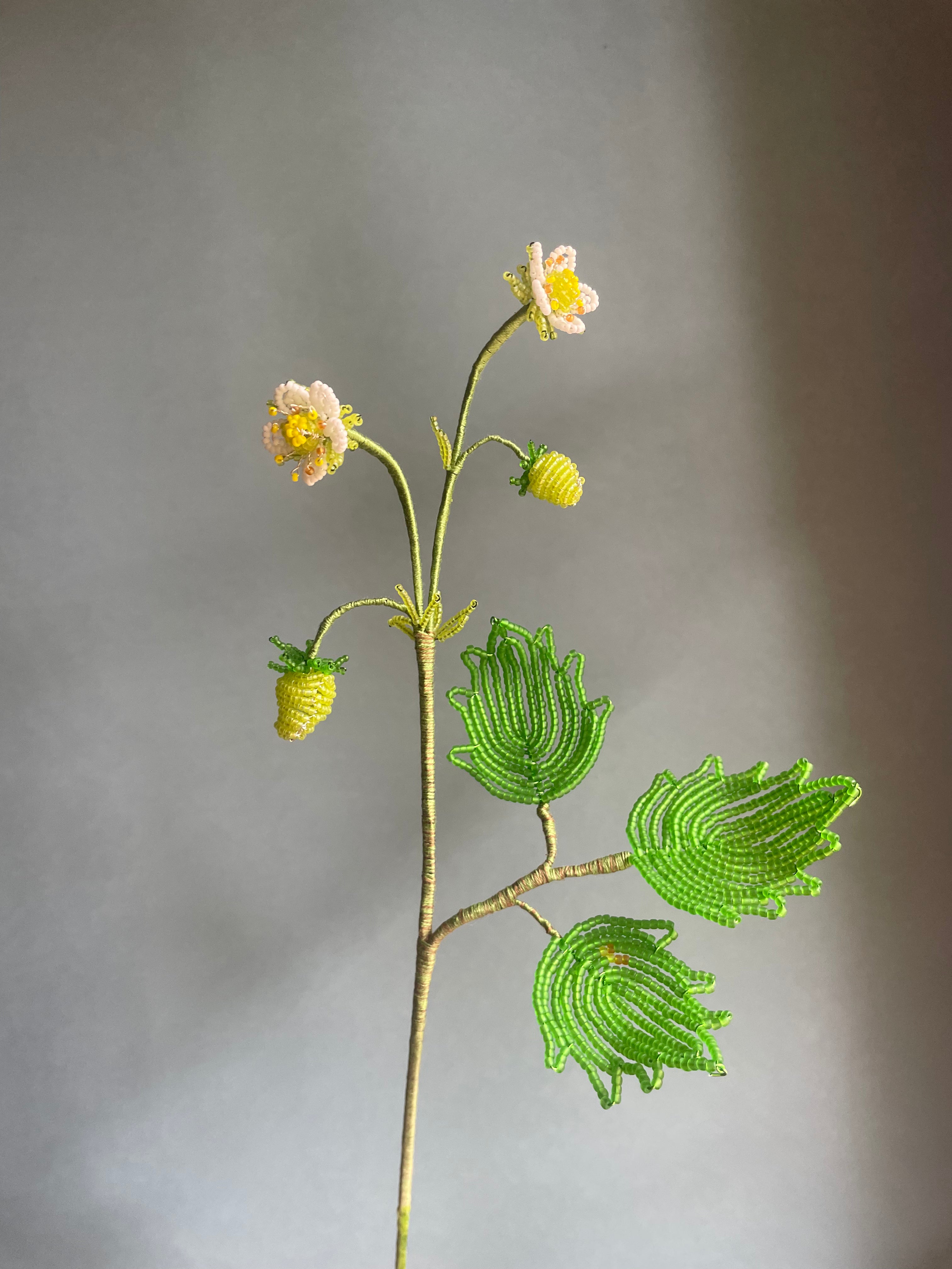 Poppy and strawberry flower (RESERVED)