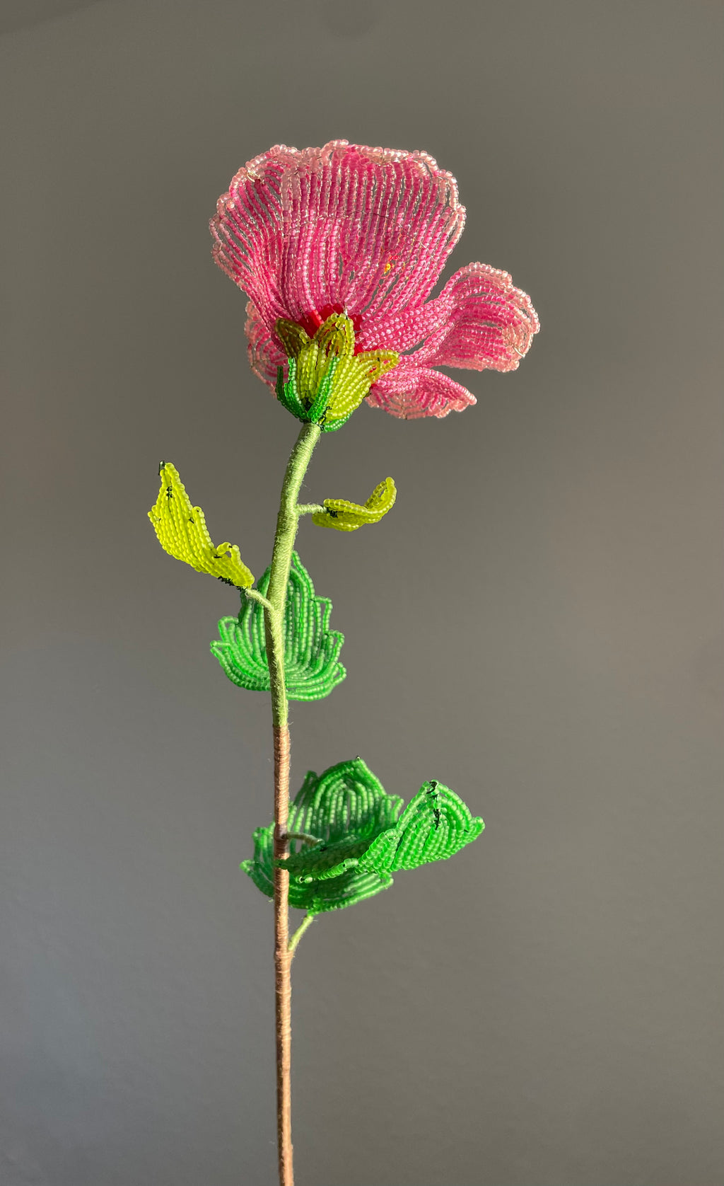 Pink Hibiscus