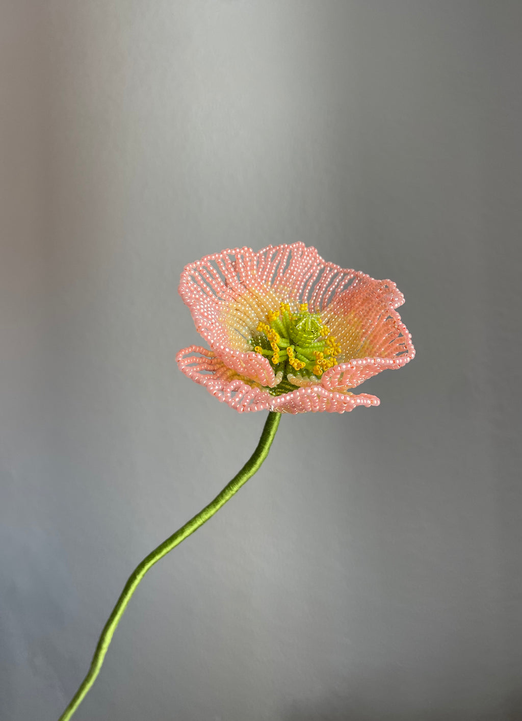 Poppy and strawberry flower (RESERVED)